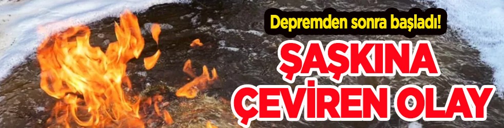 Depremden sonra başladı! Düzce Gölyaka'da şaşkına çeviren olay