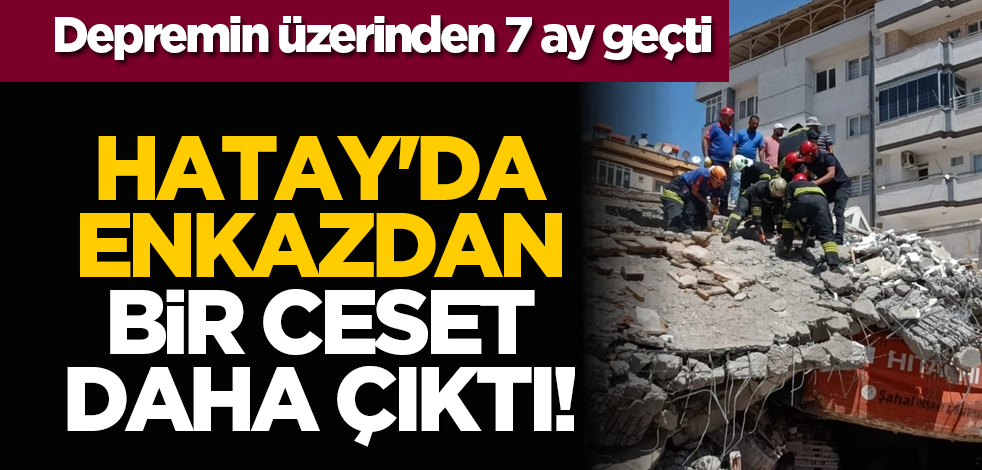 Depremin üzerinden 7 ay geçti: Hatay'da enkazdan bir ceset daha çıktı!