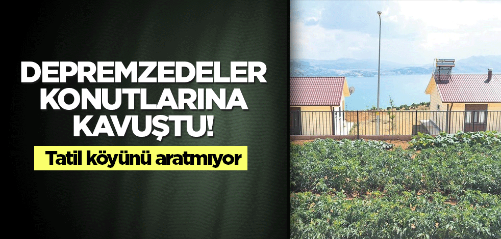 Depremzedeler konutlarına kavuştu! Tatil köyünü aratmıyor