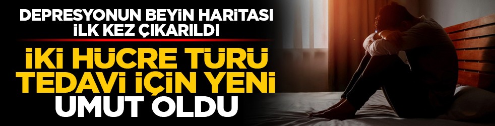 Depresyonun beyin haritası ilk kez çıkarıldı: İki hücre türü tedavi için yeni umut oldu