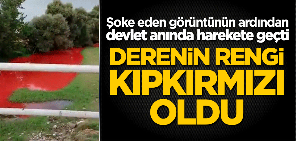 Derenin rengi kıpkırmızı oldu! Şoke eden görüntünün ardından devlet anında harekete geçti