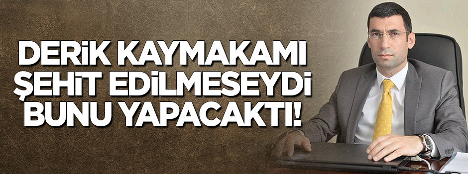 Derik Kaymakamı'nı PKK katletmeseydi bunu yapacaktı!