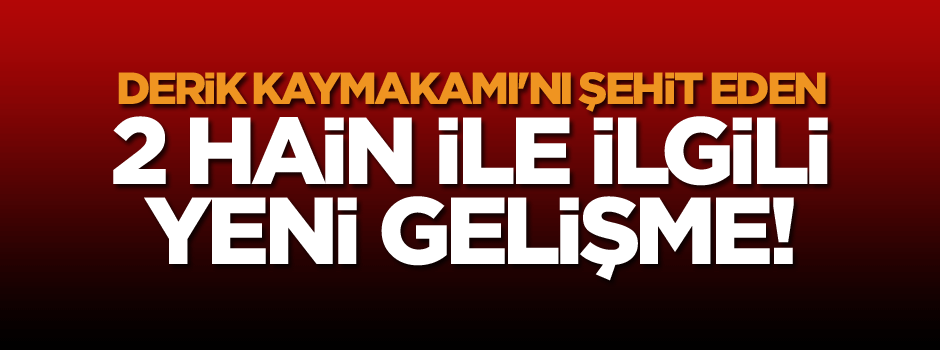 Derik Kaymakamı'nı şehit eden 2 PKK'lıyla ilgili flaş gelişme!