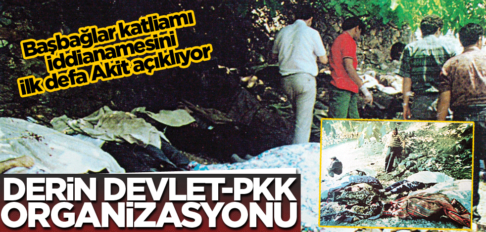 Derin devlet-PKK organizasyonu