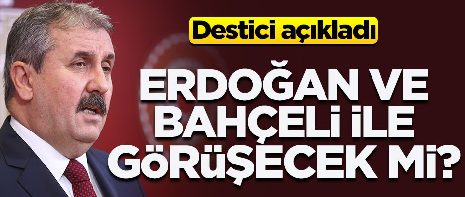 Destici: Cumhurbaşkanımız davet ederse elbette görüşürüz