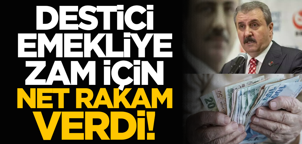 Destici emekliye zam için de net rakam verdi!