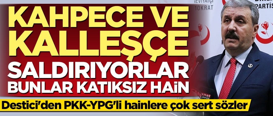 Destici: PKK/YPG kahpece ve kalleşçe saldırıyor