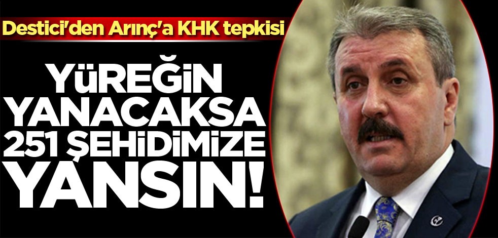 Destici'den Arınç'a KHK tepkisi