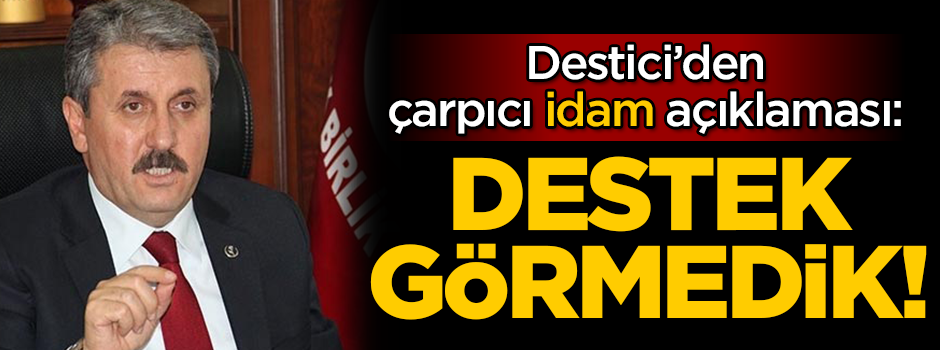 Destici’den çarpıcı idam açıklaması: Gerekli desteği görmüş değiliz