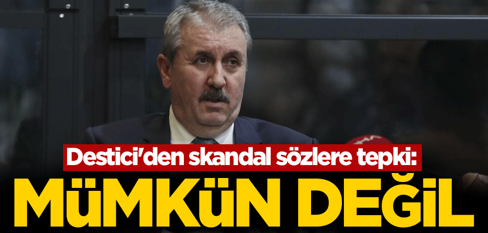 Destici'den skandal sözlere tepki: Kabul etmemiz mümkün değil