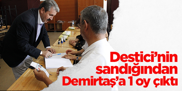 Destici'nin sandığından Demirtaş'a 1 oy çıktı