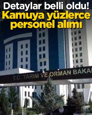 Detaylar belli oldu! Kamuya yüzlerce personel alımı