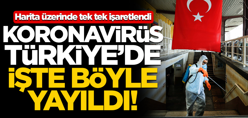 Detaylar belli oldu: Koronavirüs Türkiye'de işte böyle yayıldı!