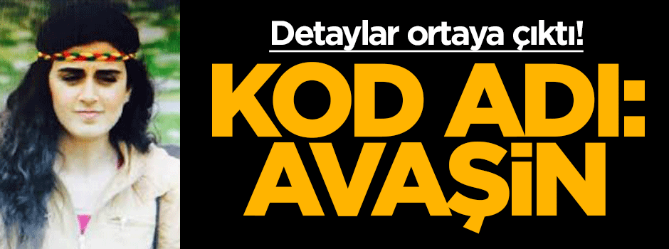 Detaylar ortaya çıktı kod adı: Avaşin