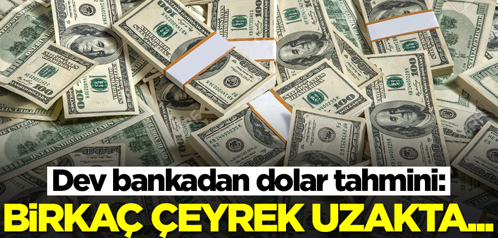 Dev bankadan dolar tahmini! Elinde olanlar dikkat: Birkaç çeyrek uzakta...