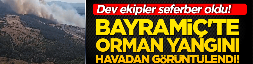 Dev ekipler seferber oldu! Bayramiç'te orman yangını havadan görüntülendi!