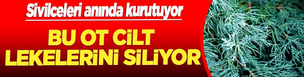 Dev sıçrama yapın: Cilt lekelerini siliyor, sağlık saçıyor! Sivilceleri kurutuyor