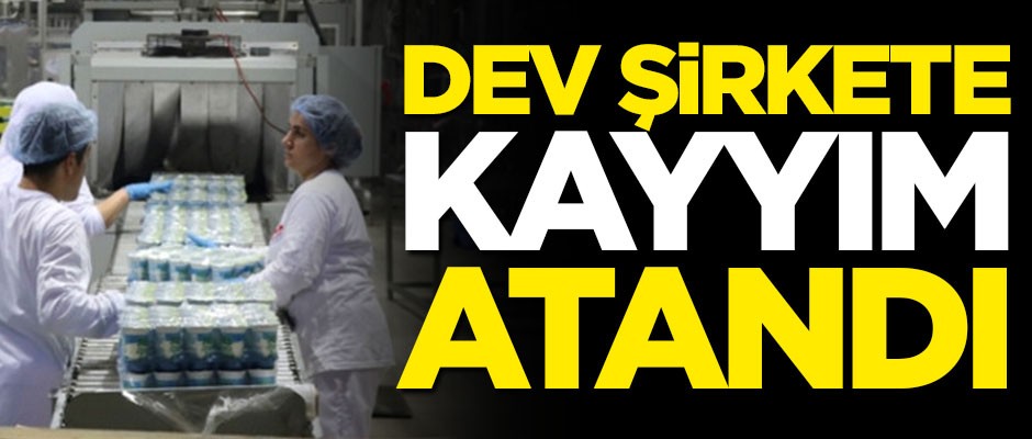 Dev şirkete kayyım atandı