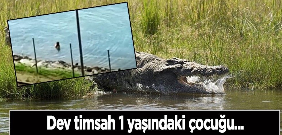 Dev timsah 1 yaşında çocuğa... Malezya ülkesi ayağa kalktı: Ülkede o timsah paniği