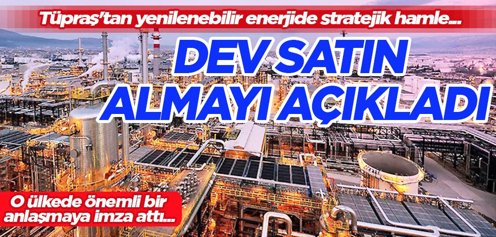Dev Türk şirketi o firmayı satın aldı! Şirket Yenilenebilir enerjide İddialı!