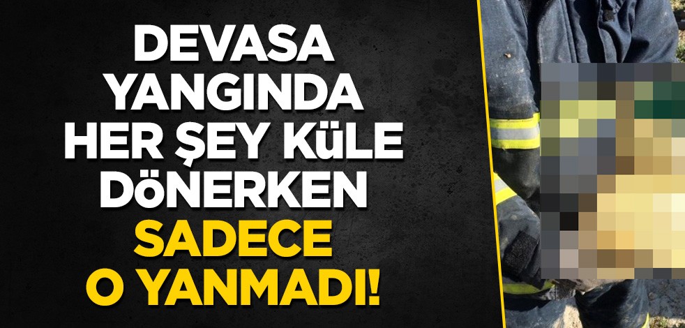 Devasa yangında sadece o yanmadı!