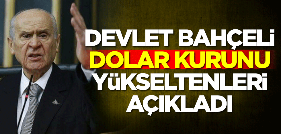 Devlet Bahçeli dolar kurunu yükseltenleri açıkladı