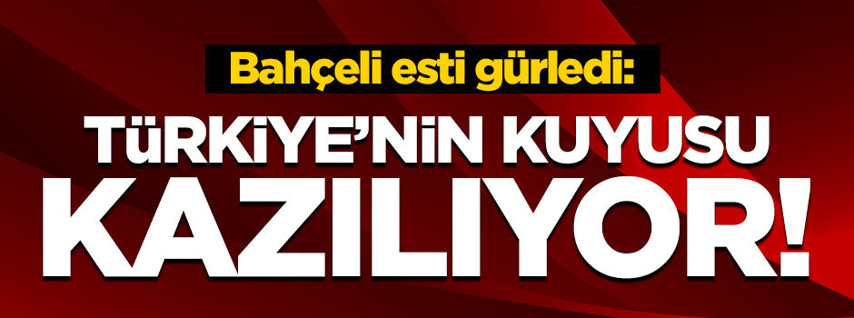 Devlet Bahçeli: Hükümet yalnız değildir