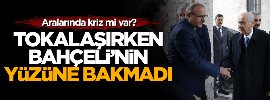 Devlet Bahçeli ve Oktay Vural'dan dikkat çeken fotoğraf