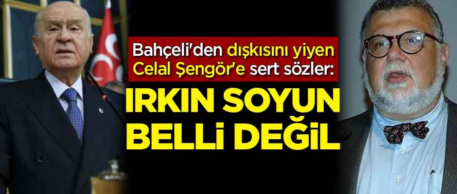 Devlet Bahçeli'den dışkısını yiyen Celal Şengör'e sert sözler: Irkın soyun belli değil