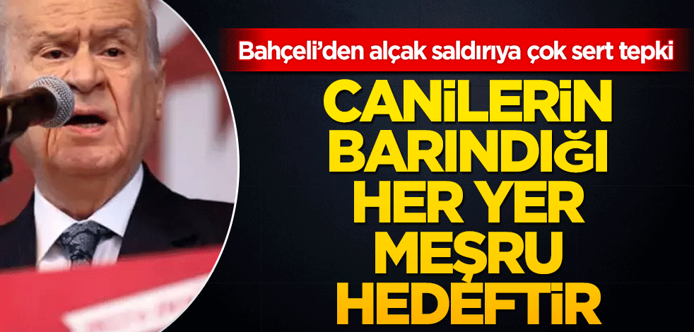 Devlet Bahçeli'den flaş açıklama! "Havadan ve karadan yok edilmeli"