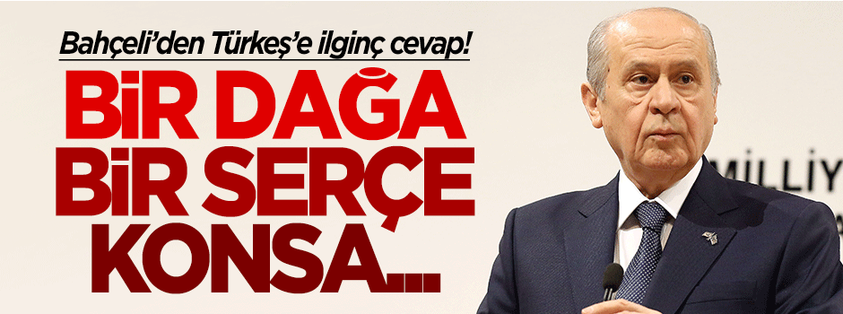 Devlet Bahçeli'den Tuğrul Türkeş'e ilginç cevap!