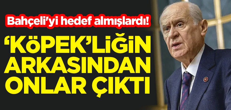 Devlet Bahçeli'yi hedef almışlardı! 'Köpek'liğin arkasından onlar çıktı