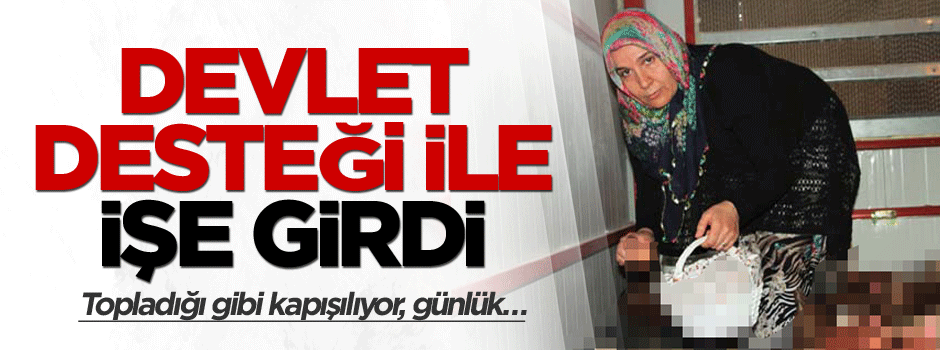 Devlet desteği ile işe girdi; Topladığı gibi kapışılıyor, günlük…