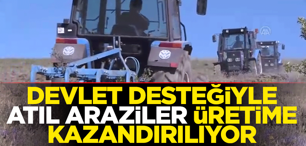 Devlet desteğiyle atıl araziler üretime kazandırılıyor
