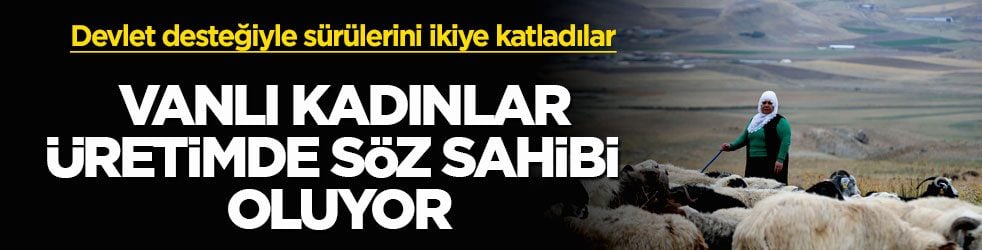 Devlet desteğiyle sürülerini ikiye katladılar! Vanlı kadınlar üretimde söz sahibi oluyor
