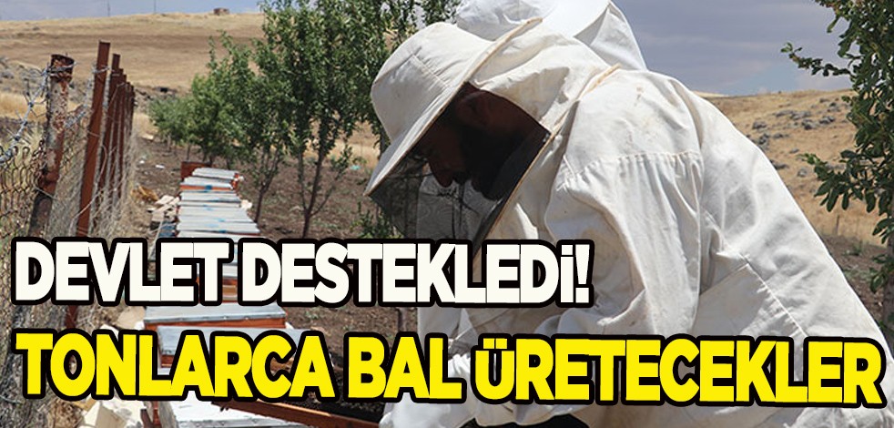 Devlet desteğiyle yüzlerce girişimci sertifikalı arıcı oldu! Türkiye izin verdi: Tonlarca bal üretecekler