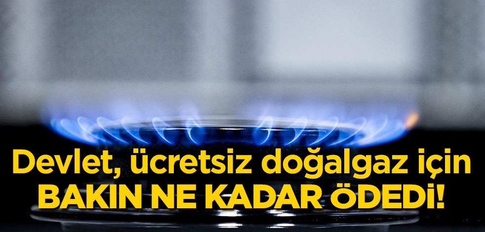 Devlet detay paylaştı: Ücretsiz doğalgaz için nisan-temmuz aylarında milyarlarca rakam ödedi! flaş duyuru