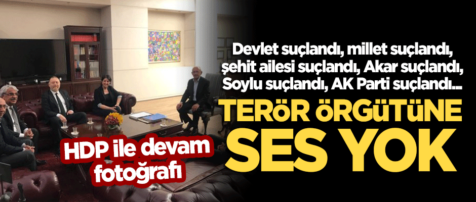 Devlet, millet, şehit yakını, AK Parti iktidarı suçlandı... Bir tek terör örgütüne ses yok!