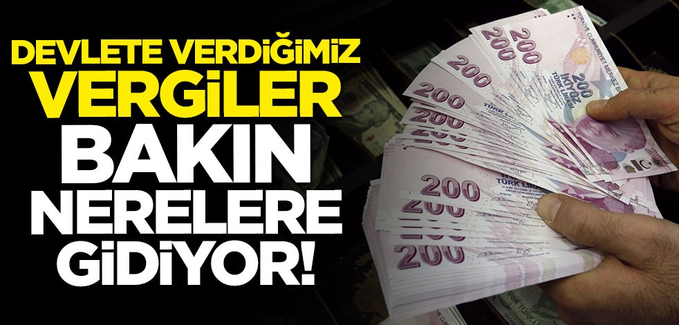 Devlete verdiğimiz vergiler bakın nerelere gidiyor!