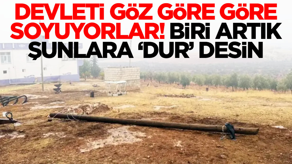 Devleti göz göre göre soyuyorlar: Biri artık şunlara dur desin