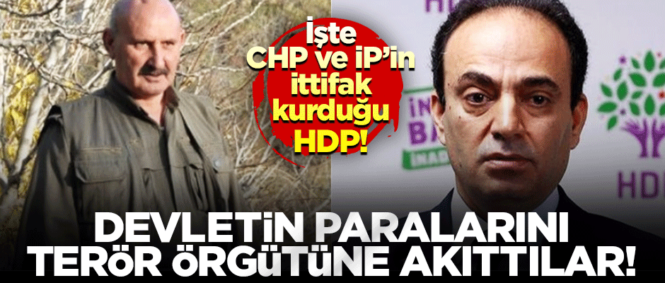 Devletin gönderdiği paraları Kandil ve YPG'ye akıttılar!