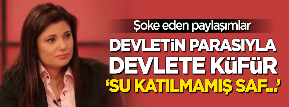 Devletin parasıyla devlete küfrediyor