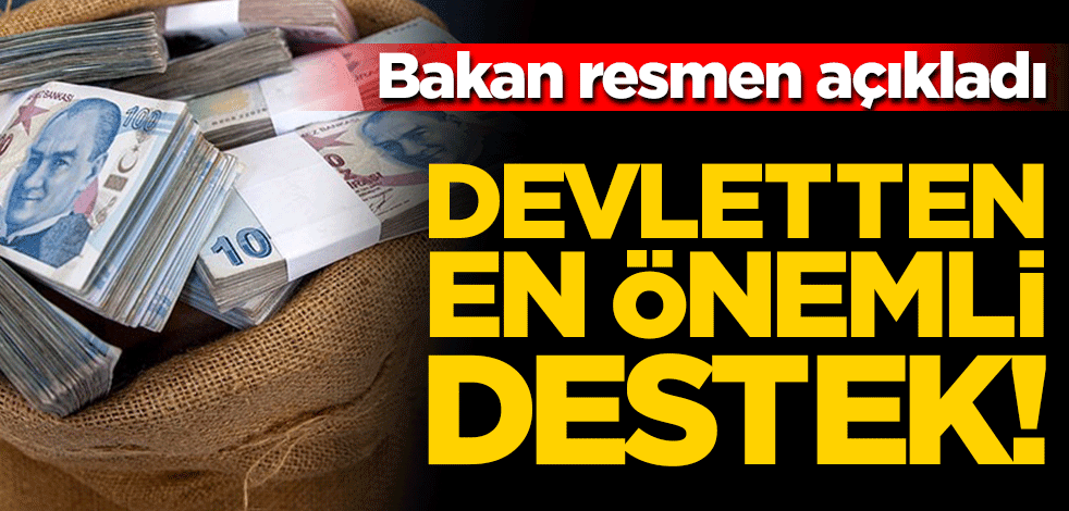 Devletten belediyelere barınak desteği: Arsa hazineden para bankadan!
