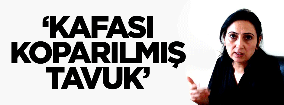 DHKP-C'lileri 'Kafası koparılmış tavuk'a benzetti