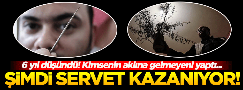 Dikenden kürdan üretiyor! Tüm Türkiye'ye satıyor