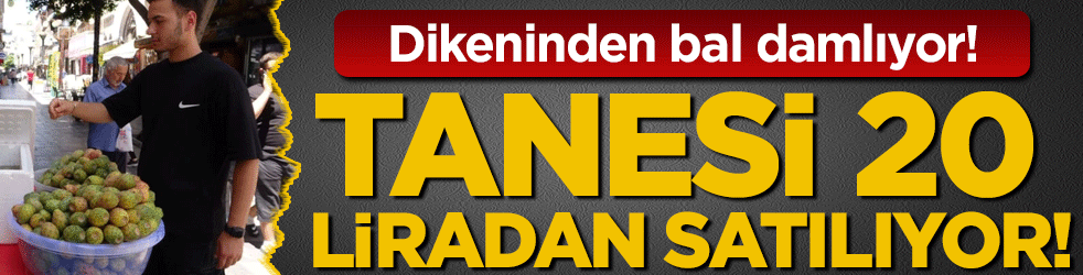 Dikeninden bal damlıyor: Tanesi 20 liradan satılıyor!