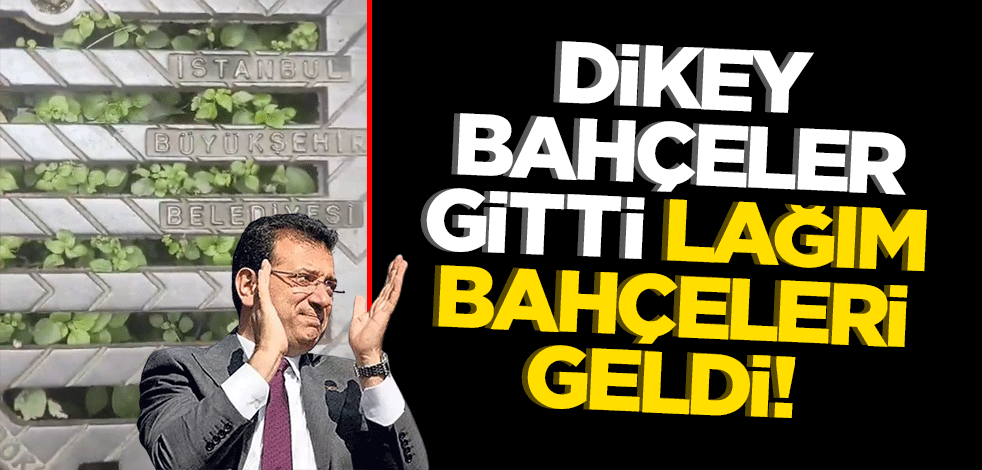 Dikey bahçeler gitti lağım bahçeleri geldi! Kanalizasyondan ot fışkırıyor