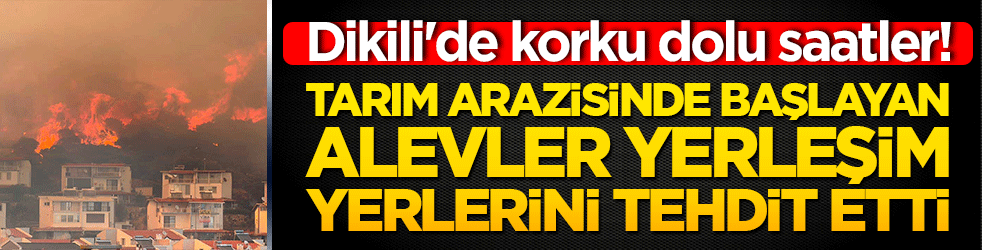 Dikili'de korku dolu saatler! Tarım arazisinde başlayan alevler yerleşim yerlerini tehdit etti, ekipler seferber oldu!