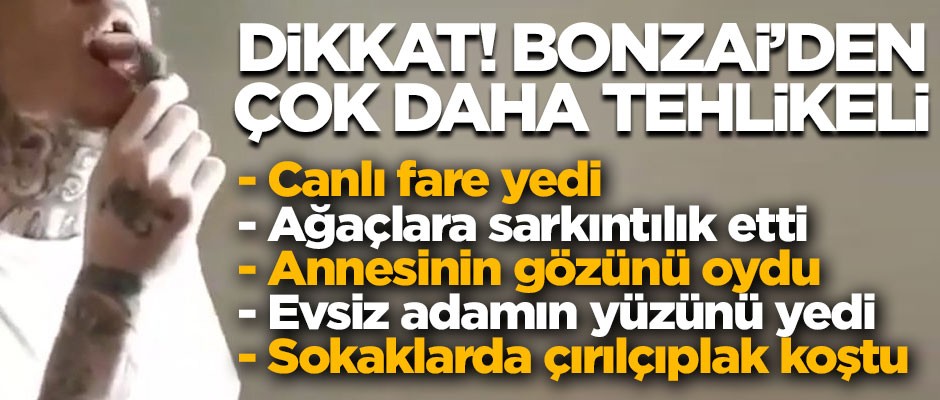 Dikkat! Bonzai'den daha tehlikeli! Bu hapı içti, canlı canlı fare yedi