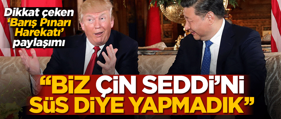 Dikkat çeken "Barış Pınarı Harekatı" karikatürü!